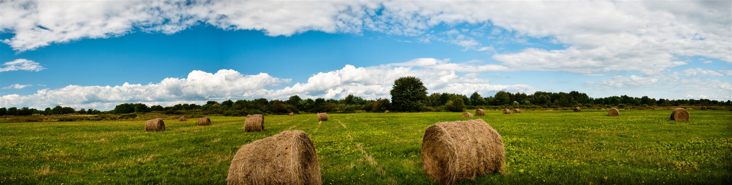 Hay bales in green farmland beneath a blue sky in Jemseg, New Brunswick